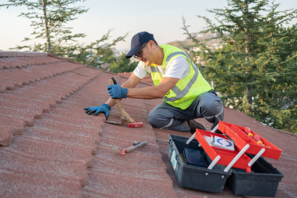 Best Roof Gutter Cleaning  in Treasure Lake, PA